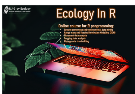 Ecology in R