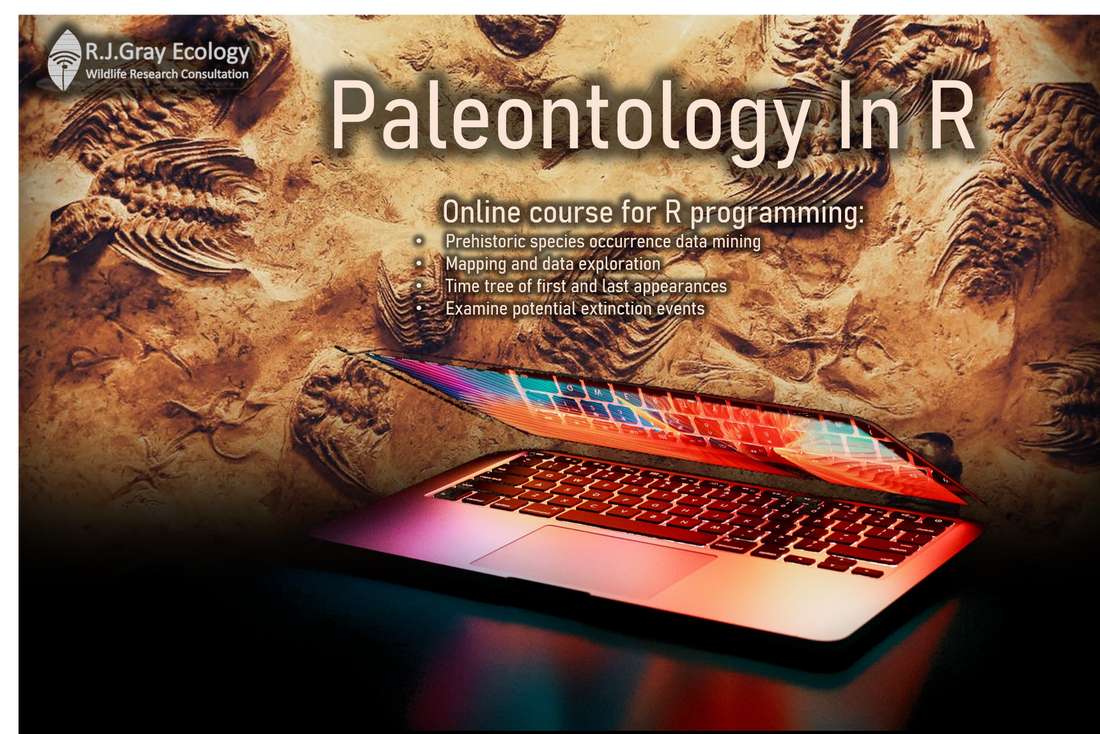 Paleontology in R